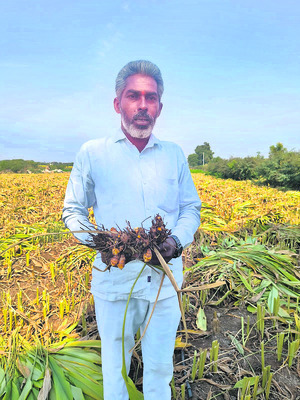 ఎకరాకు రూ.లక్ష పెట్టిన
2