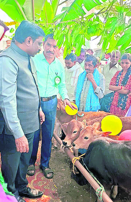 మెగా పశు వైద్య శిబిరం 1