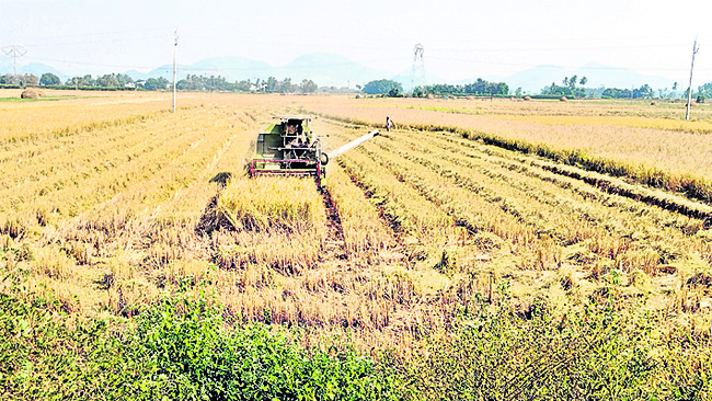 ముప్పు! 1