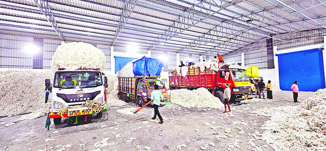 పత్తి రైతుపై క త్తి 2