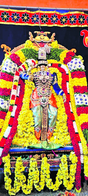 చికెన్‌ వ్యర్థాలు  తరలిస్తుండగా..2