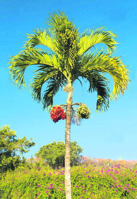 30 ఏళ్ల ఆదాయం1