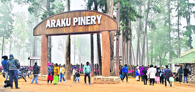 మన్యం మురిసె.. పర్యాటకం మెరిసే1