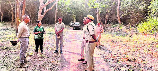 మద్దిలేటి క్షేత్రంలో భక్తుల రద్దీ 3