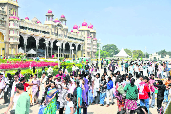 మైసూరు ప్యాలెస్‌లో భద్రతా లోపాలు 1