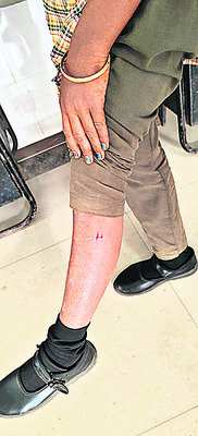 విద్యార్థులపై కోతి దాడి 1