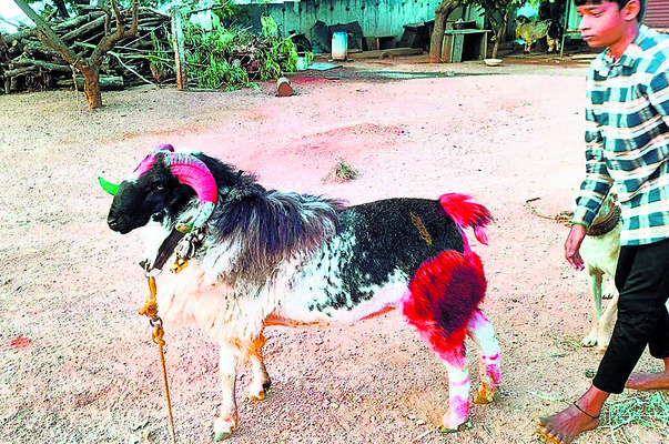 శ్రీశైల క్షేత్రానికి ఒకే రోజు రూ.1.4 కోట్ల ఆదాయం 1