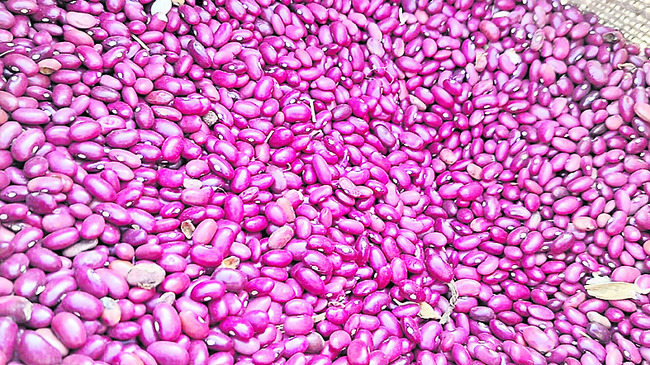 సిండికేట్‌ సెగ1