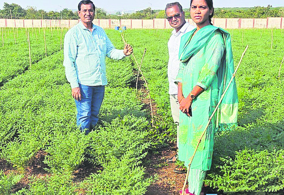 రాష్ట్రస్థాయి పోటీల్లో ఉత్తమ ప్రతిభ1
