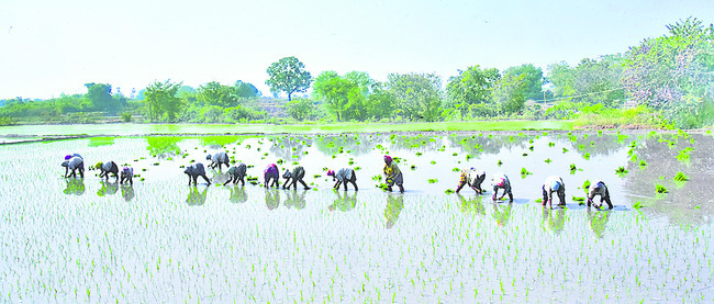 హుస్నాబాద్‌ మినహా.. మిగతా చోట్ల ప్ర‘గతి’తప్పింది 1