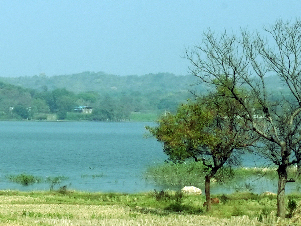 Best Photos of The Week in AP and Telangana Photo Gallery14