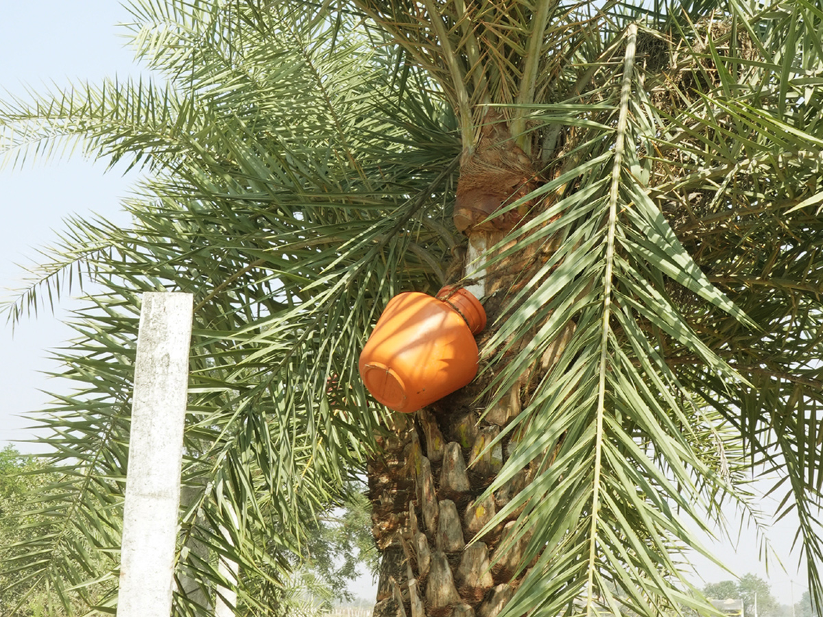 Best Photos of The Week in AP and Telangana Photo Gallery16