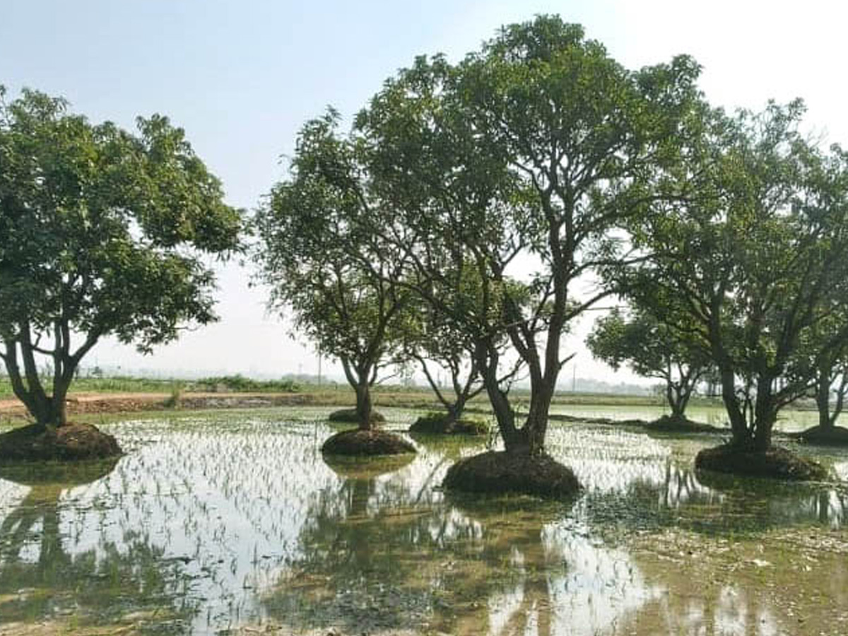 Best Photos of The Week in AP and Telangana Photo Gallery8