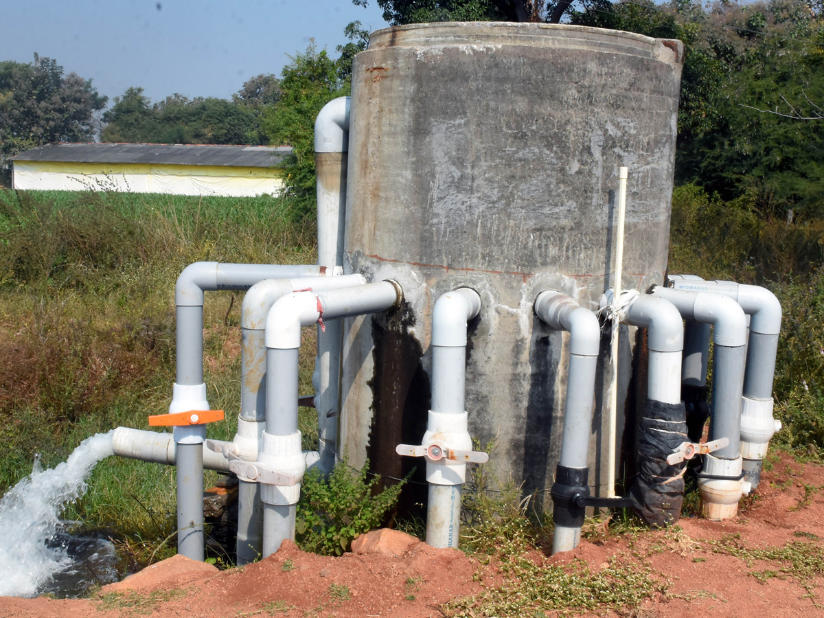 Best Photos of The Week in AP and Telangana Photo Gallery9