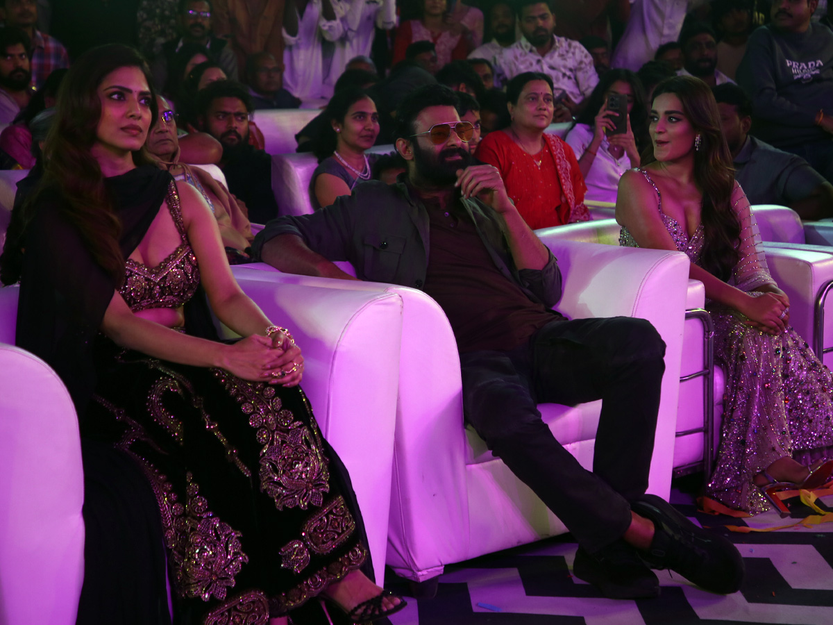Fans created a buzz at Prabhas's Raja Saab pre-release event Photos.12