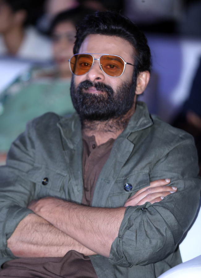 Fans created a buzz at Prabhas's Raja Saab pre-release event Photos.17