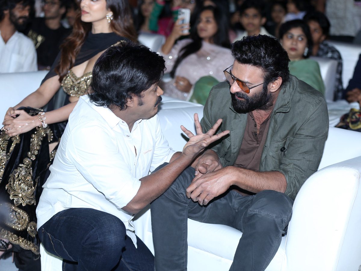 Fans created a buzz at Prabhas's Raja Saab pre-release event Photos.19