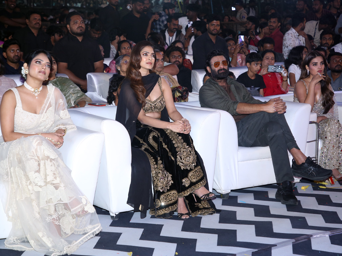 Fans created a buzz at Prabhas's Raja Saab pre-release event Photos.8