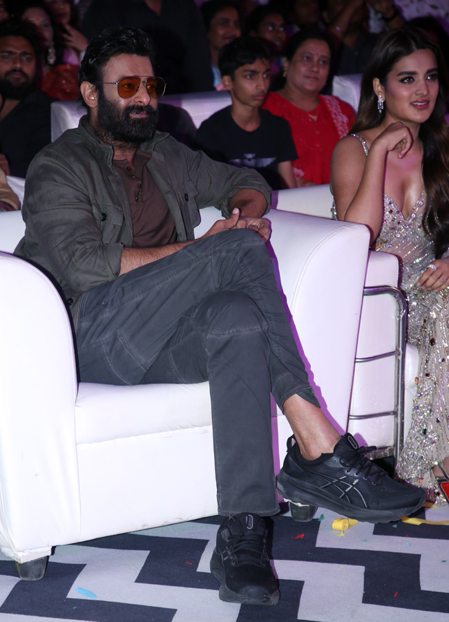 Fans created a buzz at Prabhas's Raja Saab pre-release event Photos.10