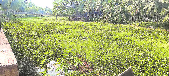 సాయం లేక.. సాగలేక..!5