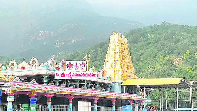 స్వల్పంగా పెరిగిన  నిమ్మ ధరలు 2