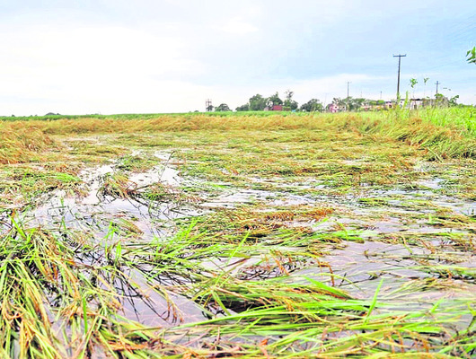 అప్పులే మిగిలాయి1
