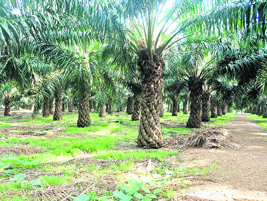 కష్టాలు..కడగండ్లు3