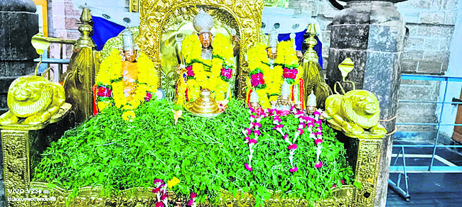 విజయనగరం7