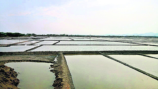 లీజు ముప్పు! 1