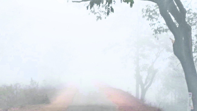 తగ్గని చలి, మంచు తీవ్రత 1