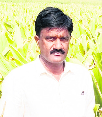 పసుపు దిగుబడిపై ఆశలు1