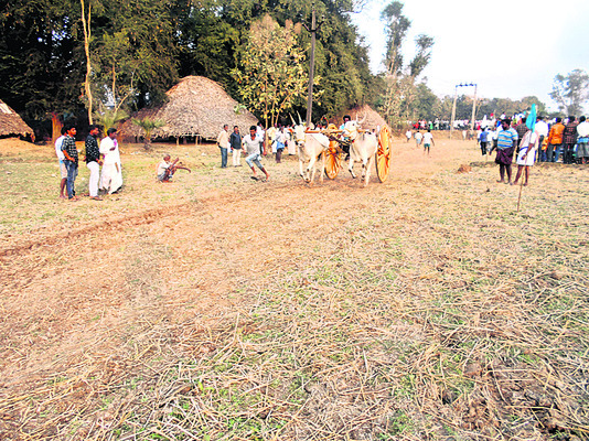వినోదాల వేదిక.. సంక్రాంతి వేడుక1