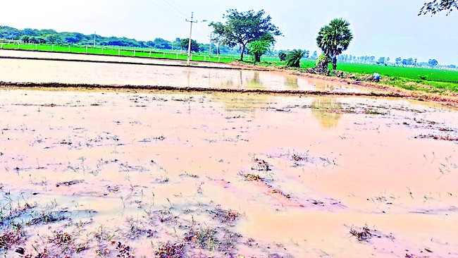 మట్టి మనుషులు1