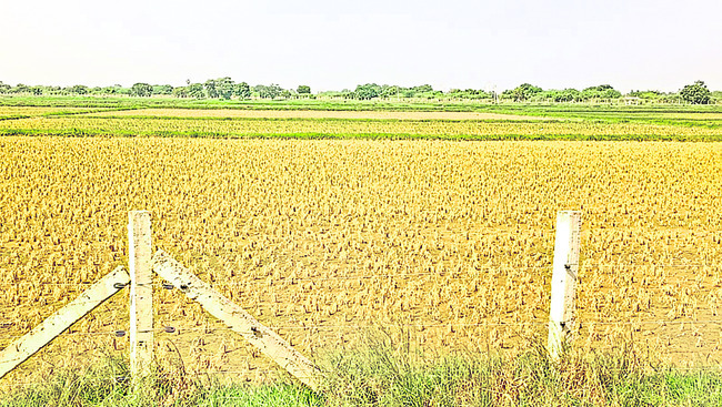 మట్టి మనుషులు2