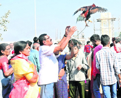 తల్లులకు తనివితీరా మొక్కులు.. 3
