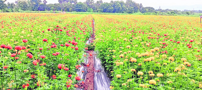 అప్పులే మిగిలాయి2