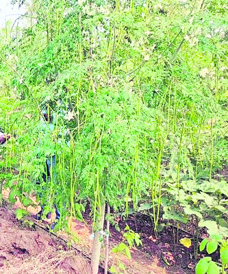 అప్పులే మిగిలాయి5