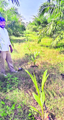 కలిసిరాని కాలం2