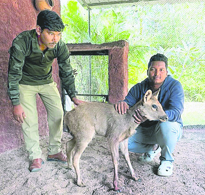 బోరు వేయించిన ఎమ్మెల్యే1