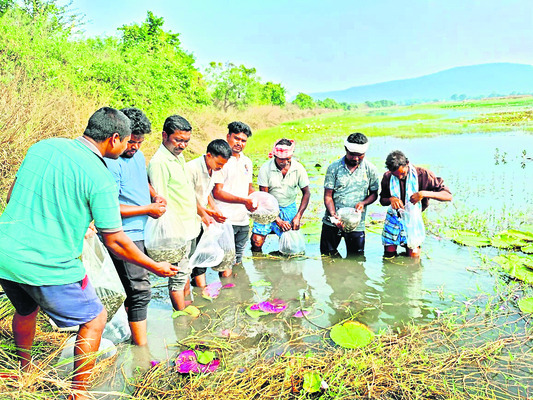 కిలో దాటట్లే..
1