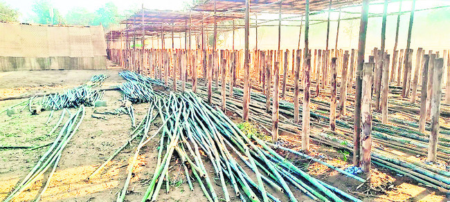 కలిసిరాని కాలం10