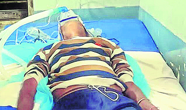 శతపతి అన్నపూర్ణకు ఎస్‌డీజీ చాంపియన్‌ అవార్డు2