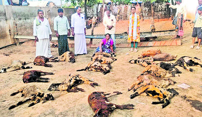 మహాశక్తి దేవతగా బగళాముఖి 
2