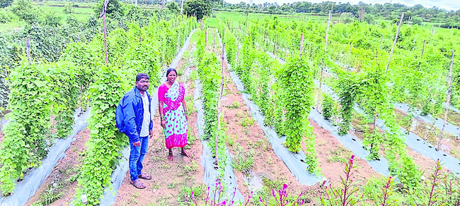 అకాలం.. అన్నదాత ఆగం2