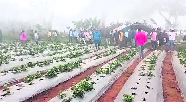 హౌస్‌ఫుల్‌4