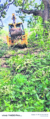 గిరిజన పిల్లల ఎదురుచూపులు1