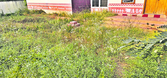 రైతులకు ఉపయోగపడ్డ ల్యాబ్‌లు 1