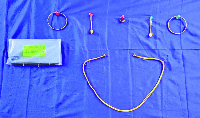 బంగారు ఆభరణాల కోసమే వృద్ధురాలి హత్య 1