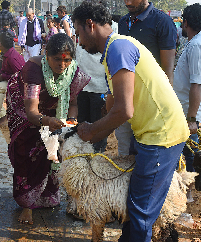 Medaram Sammakka Sarakka Jatara 2025 Photos16