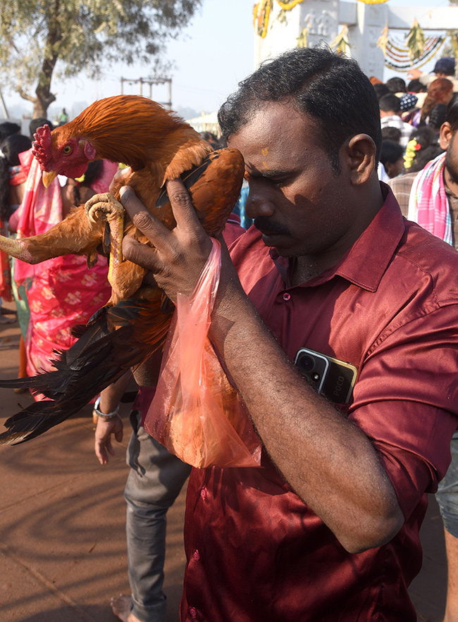 Medaram Sammakka Sarakka Jatara 2025 Photos22